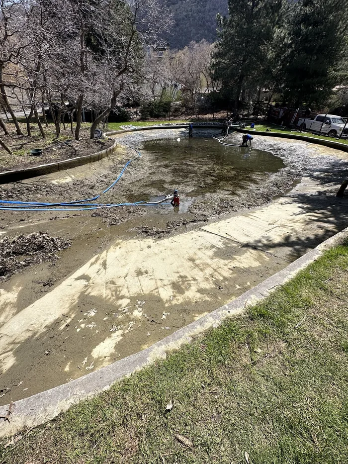 Shoreline cleanup and restoration project