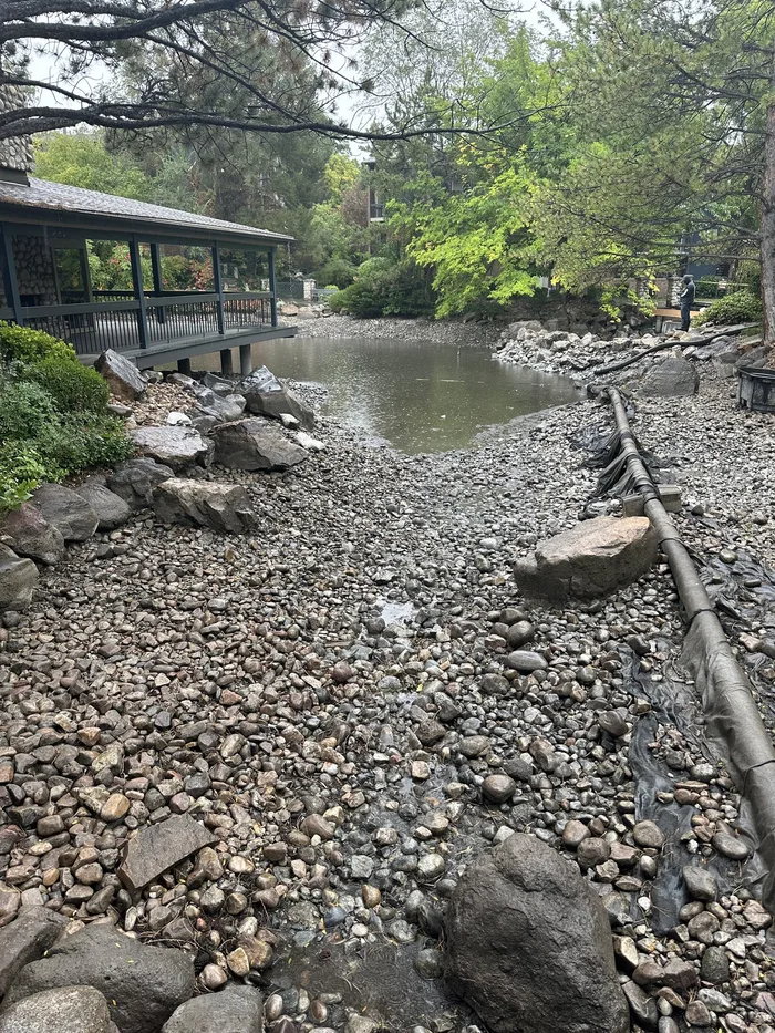 Shoreline Restoration